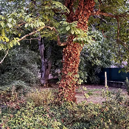 Farm stay Grota Leiria